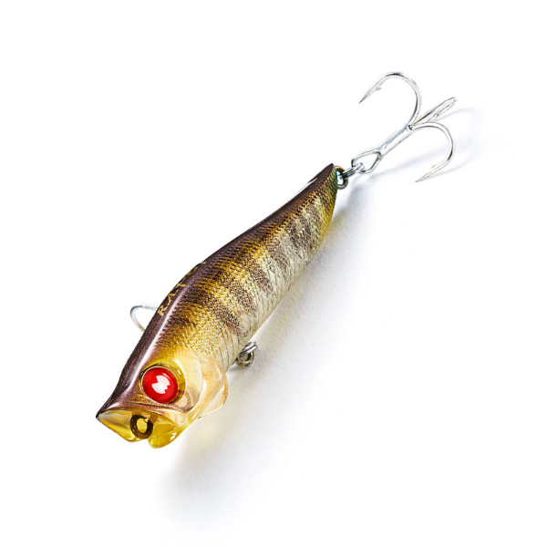 Ｒ．Ａ．ポップ(ＫＥＢ　クルマエビ)